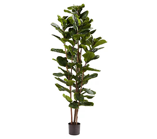 Pure Garden 72" Artificial Fiddle Leaf Fig Tree - QVC.com | QVC
