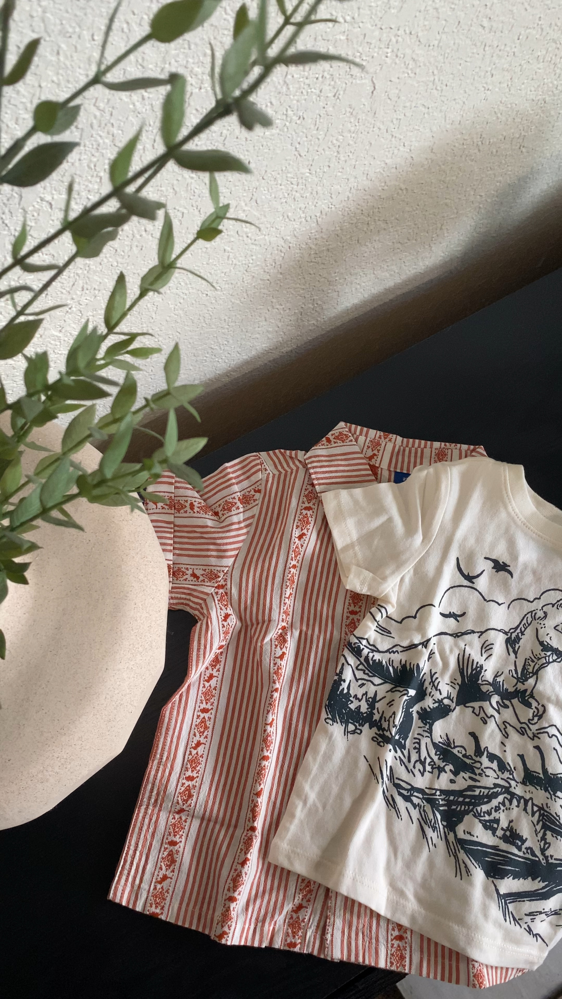 The cutest dinosaur outfits! #toddlerspring #toddlerboy #toddlerclothes #dinosaur #dino #boyclothes 

#LTKKids #LTKFamily