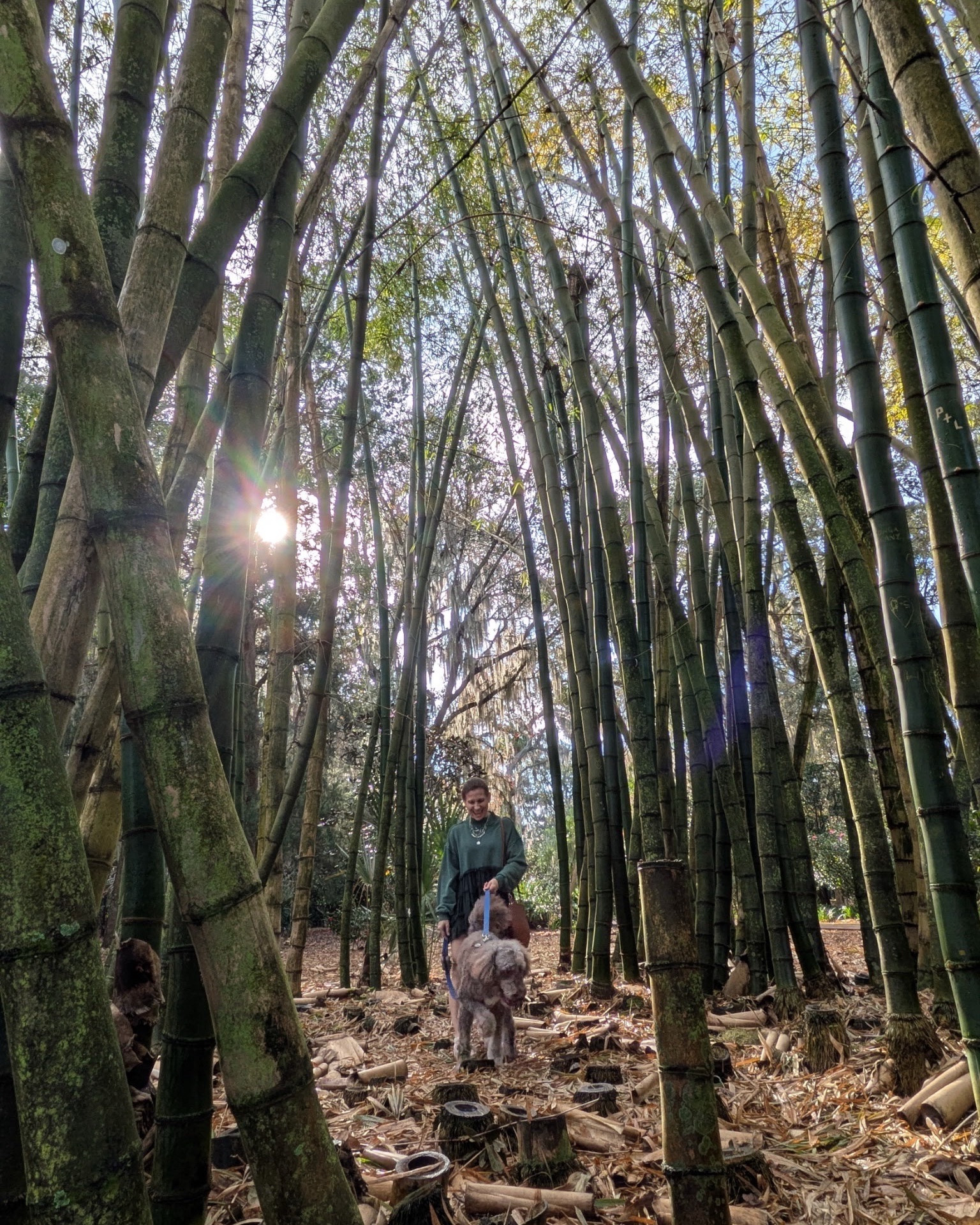 Throw back to dog day at Leu Gardens

#LTKPetite #LTKdayinmylife #LTKootd