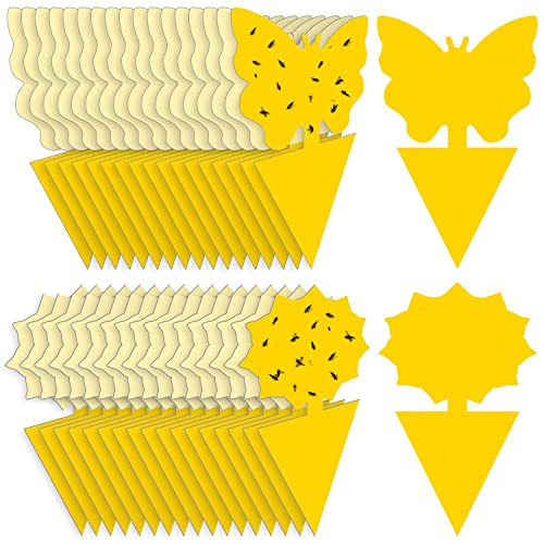 Fruit Fly Traps Fungus Gnat Traps Yellow Sticky Bug Traps 36 Pack No Harm and Odorless for Indoor Outdoor Use Protect The Plant | Amazon (US)