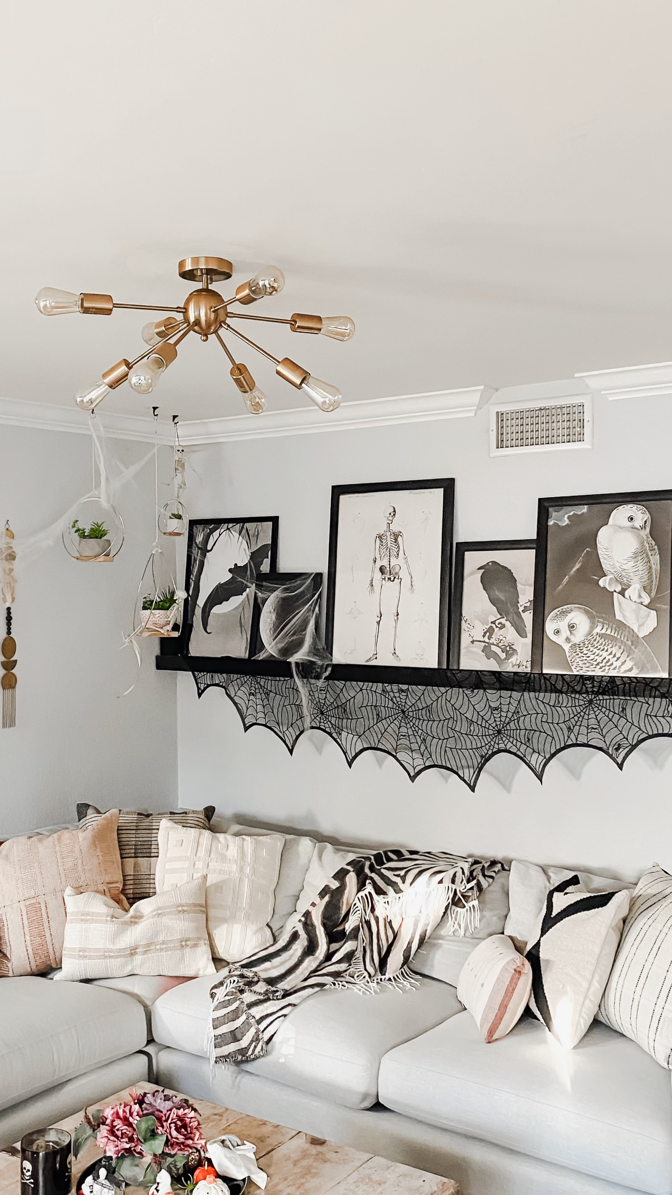 Halloween decorations are finally coming out. Never too soon for decorations for halloween. 
#Halloween #halloweendecor #halloweendecorating #halloweendecorations

#LTKHome #LTKFallSale #LTKSeasonal