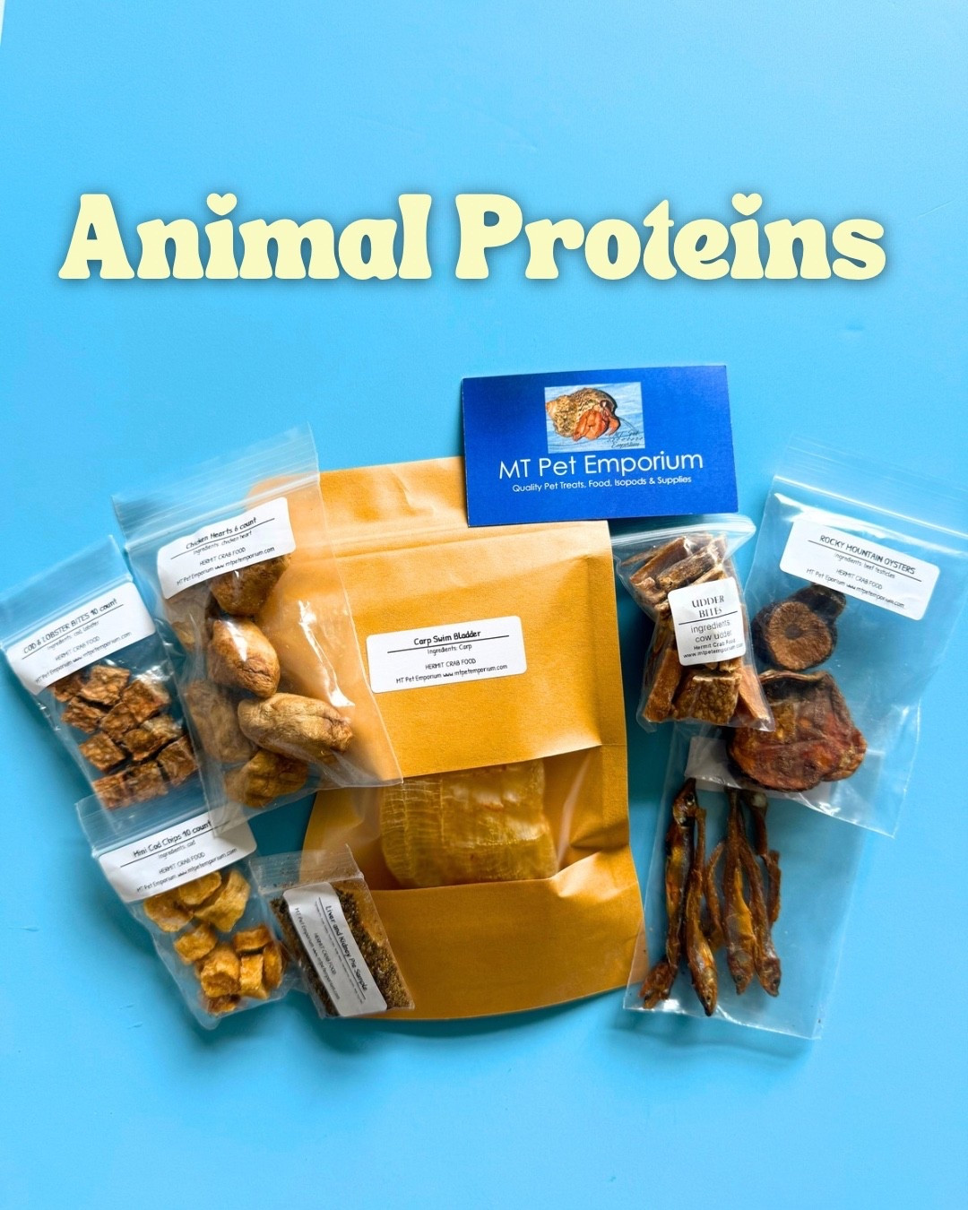 Animal proteins for hermit crabs