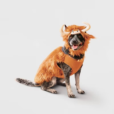 Highland Cow Hoodie Dog Full Body Costume - Boots & Barkley™ Light Brown M | Target