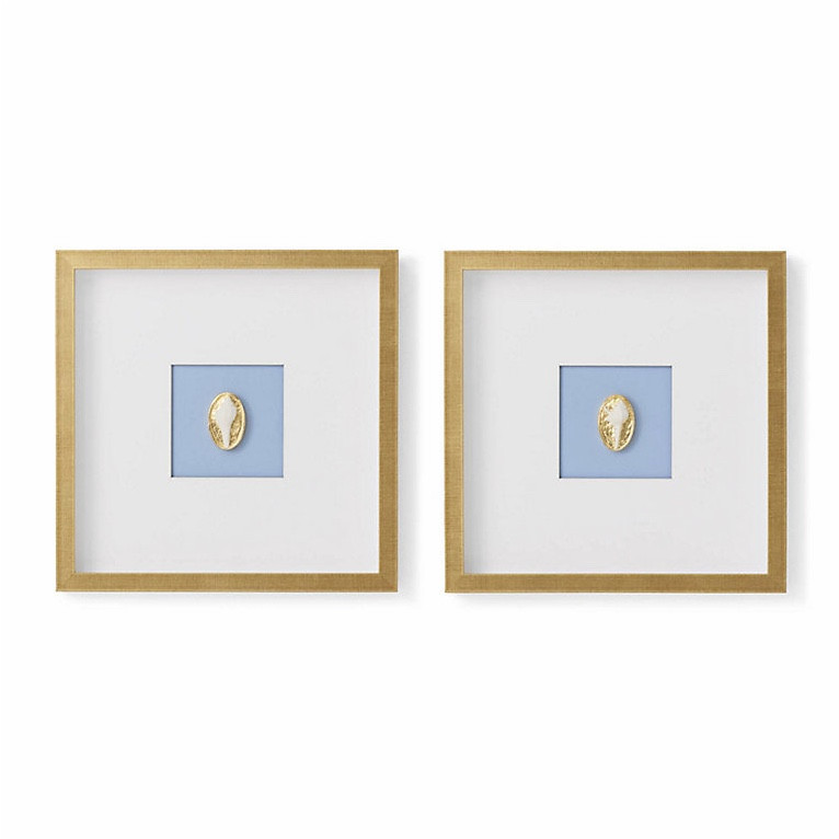 Prettiest shell intaglios! Coastal decor gold intaglios framed intaglio beach house traditional coastal style 

#LTKHome
