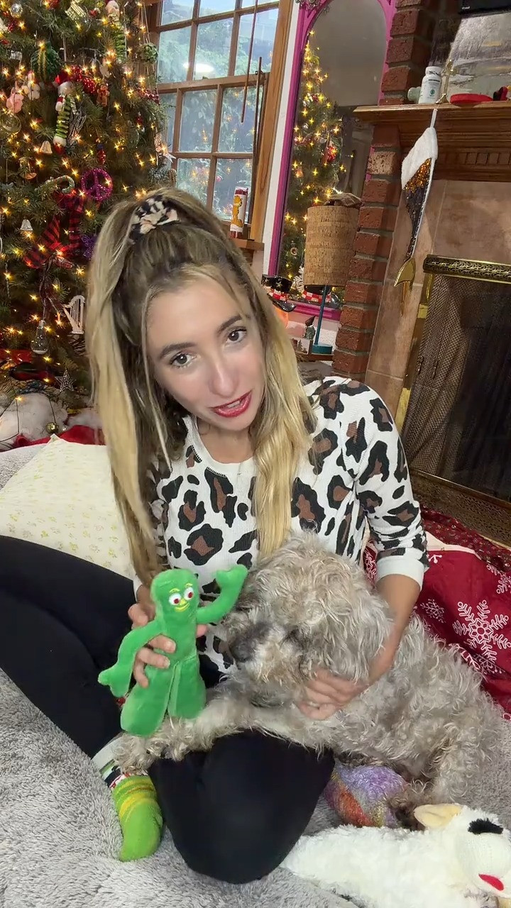 Soft playtime fun – Green Plush Dog Toy. Get yours on LTK 

 #LTKSeasonal #LTKActive #LTKHome