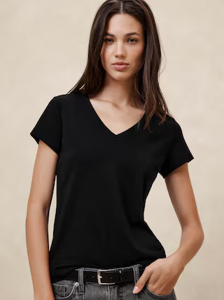 Timeless V-Neck T-Shirt | Banana Republic Factory | Banana Republic Factory