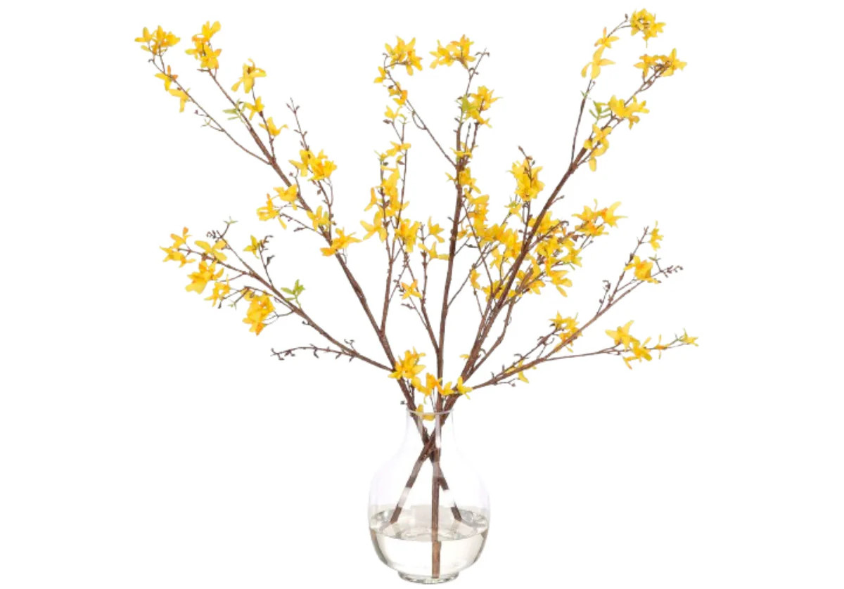 YELLOW FORSYTHIA | 30" | Alice Lane Home Collection