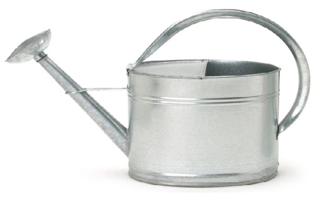 Enameled Galvanized Steel Oval Watering Can 2.5 Gal. | Wayfair North America