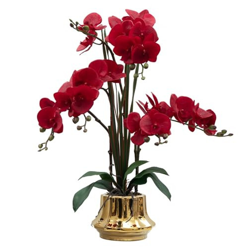 CXGS Artificial Orchid Flower Plant 20.9'' Real Touch Faux Orchids in Ceramic Vase Red Fake Phalaenopsis Flower Arrangement Silk Orchids with Stems for Centerpiece Table Home Indoor Decor | Amazon (US)