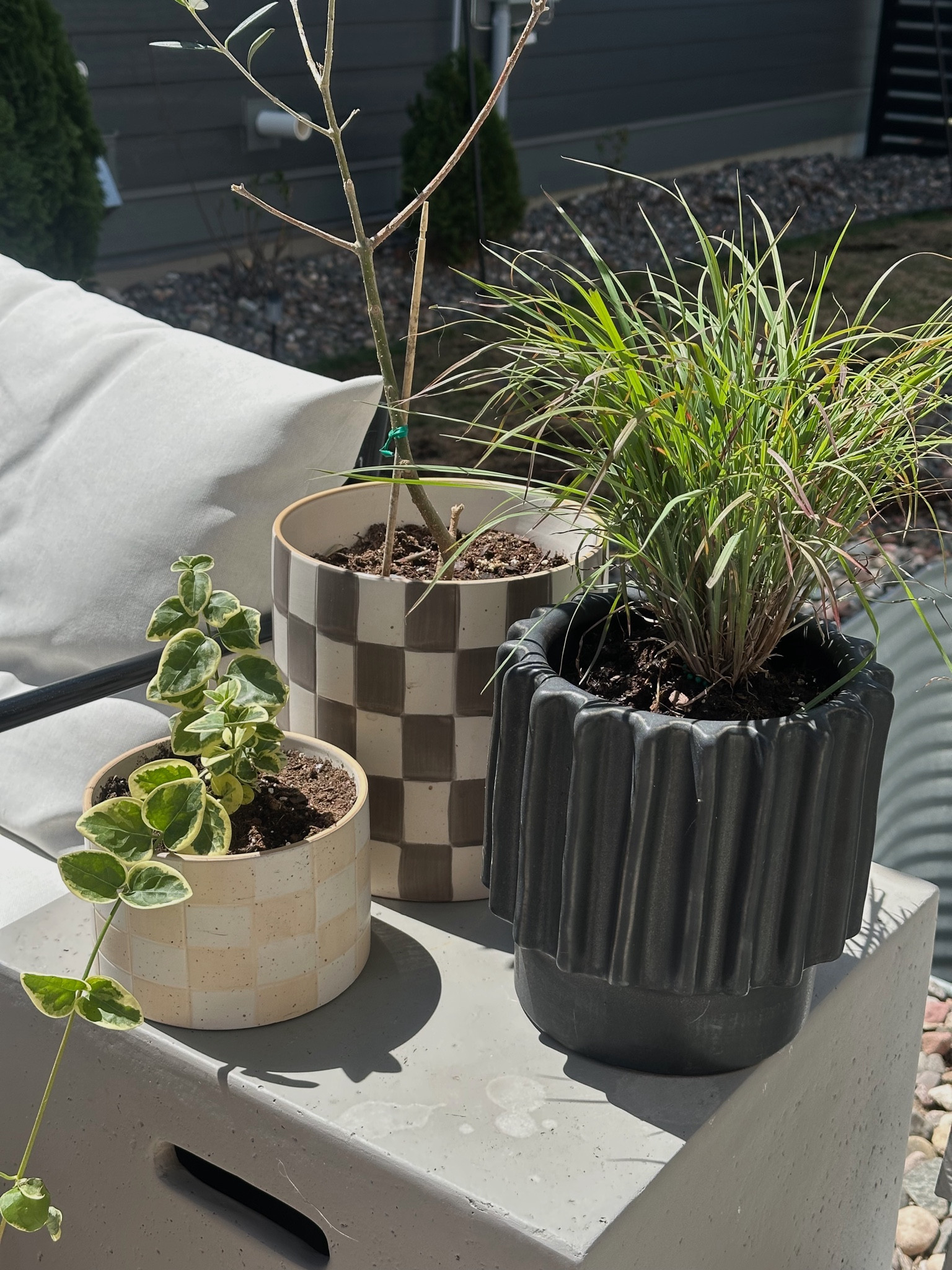 Planter pots 
Target sale pots 
Patio 

#LTKsalealert #LTKSeasonal #LTKstyletip