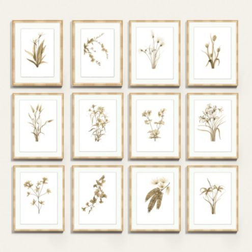Fragile Blossoms Art | Ballard Designs, Inc.