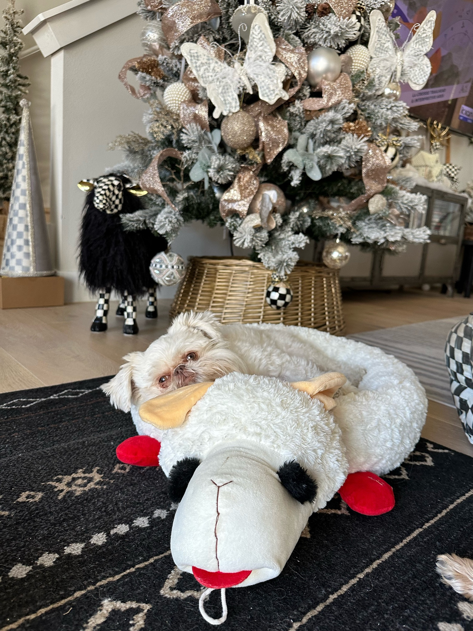 I found the boys Lambchop bed on major sale!! 45% off and only $30 from $55!

Christmas gifts, dog beds, lamby bed, chewy 

#LTKFamily #LTKGiftGuide #LTKHome