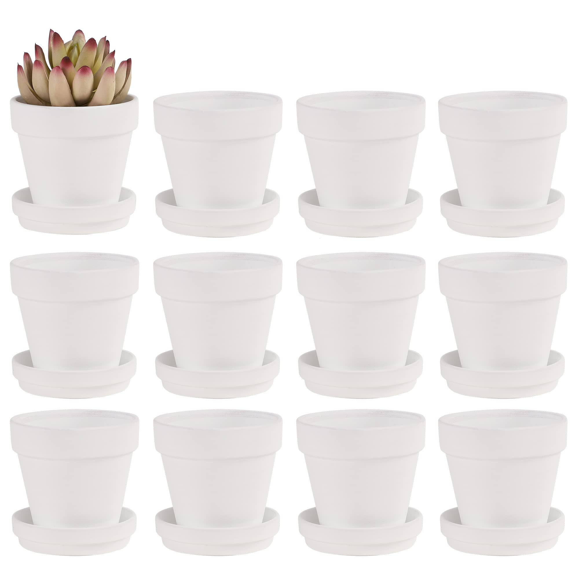 Amazon.com: Fcacti 3 Inches Small White Terracotta Pots with Saucer, 12 Pack 3 Terra Cotta Planter with Drainage Holes, Small Clay Flower Pots for Plants, Succulents, Crafts, Wedding Favor : Patio, Lawn & Garden | Amazon (US)