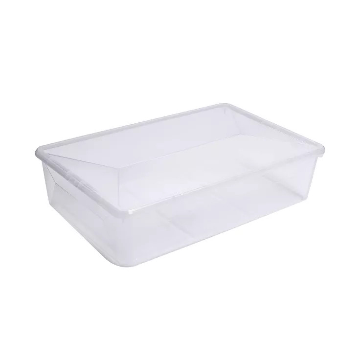 Ezy Storage 23.1L/24.4qt Karton Clear Boot Box | Target