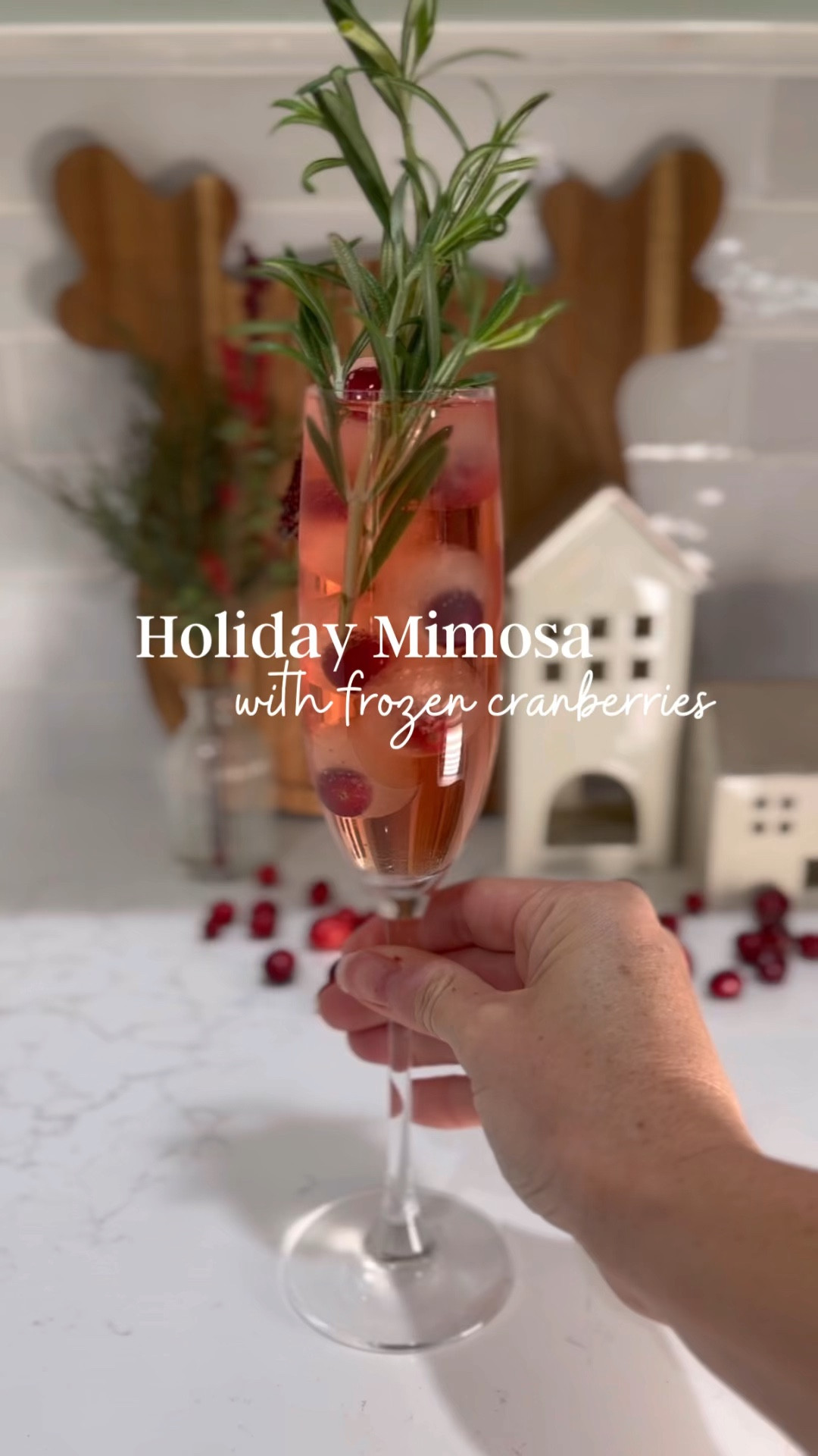 The perfect holiday mimosa! Keep your drinks colder for longer without being watered down🎄

Ice molds - holiday cocktail - cranberry cocktail - mocktails - holiday mocktails - frozen ice - ice cube trays - ice cube molds - mimosas 

#LTKHoliday #LTKVideo