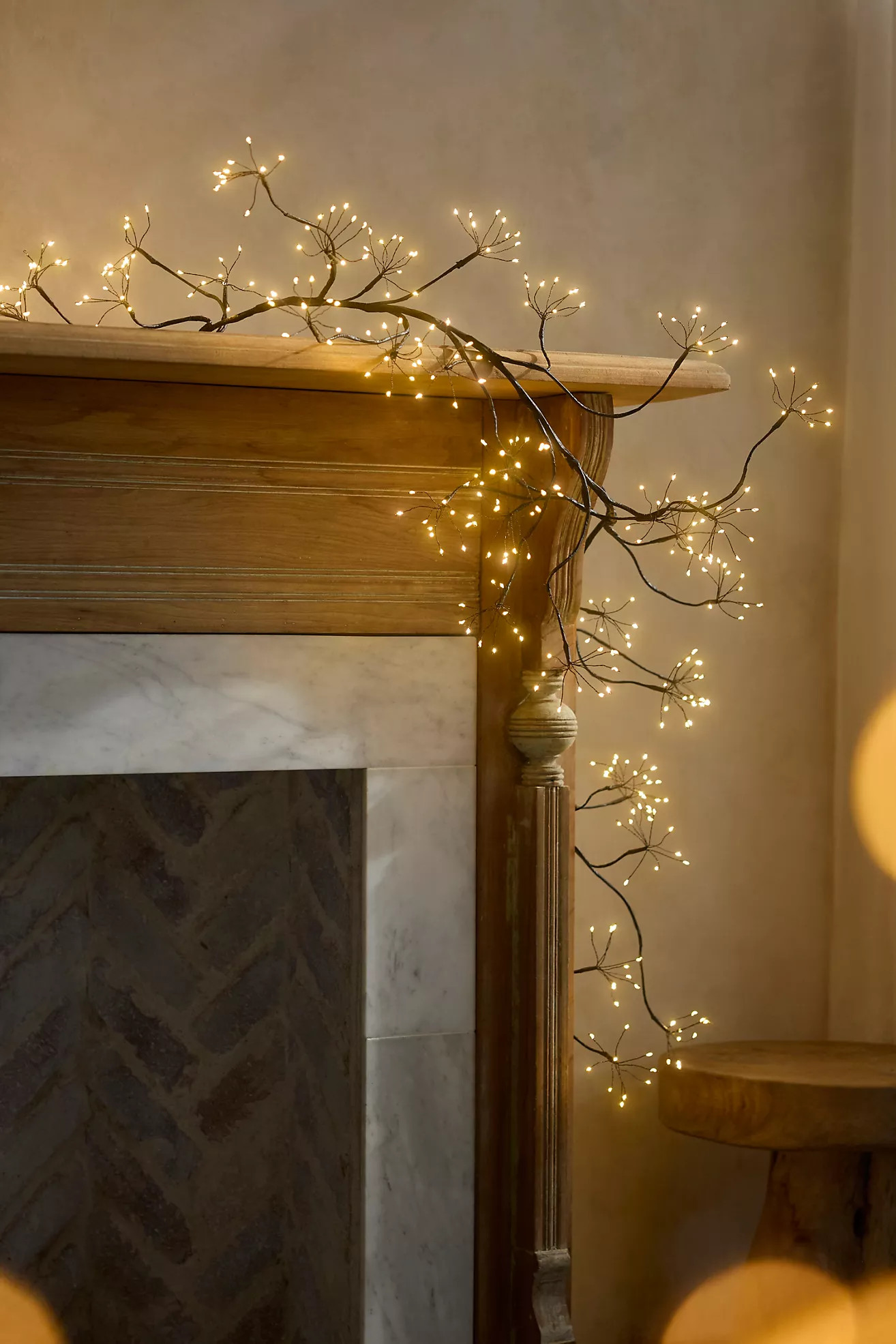 Illuminated LED Branch Garland | Anthropologie (US)