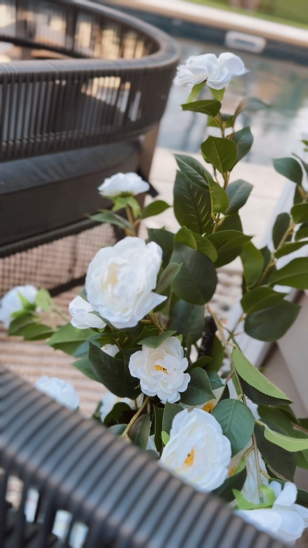 Get these plants!!!! Such a hit all the neighbors are asking too 👀



#LTKHome #LTKSeasonal #LTKSaleAlert