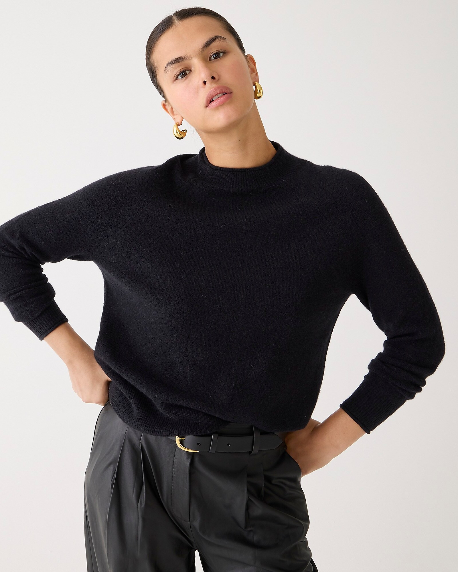 Rollneck sweater in Supersoft yarn | J. Crew US