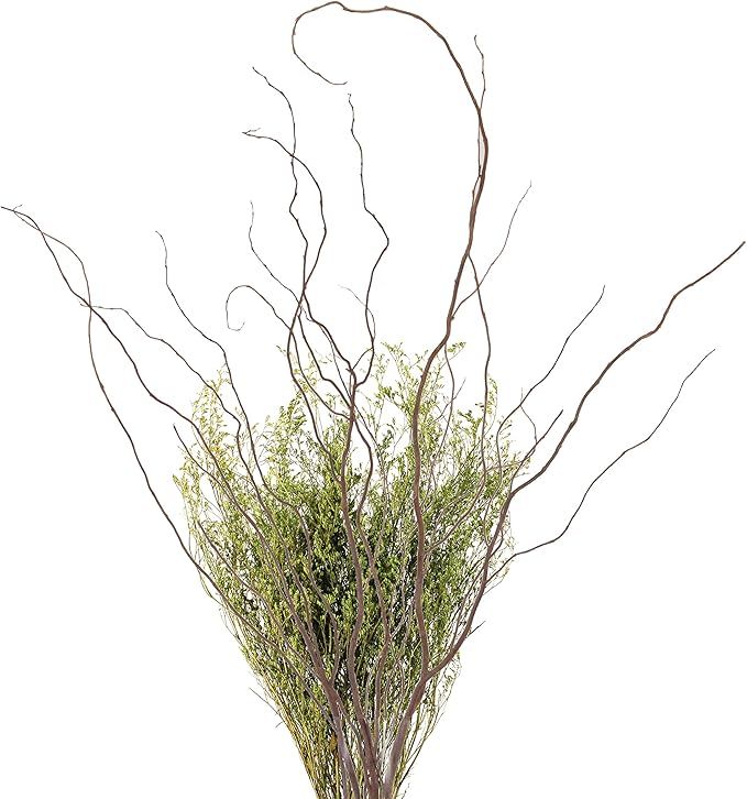 Green Floral Crafts Curly Willow Branches (Bunch of 8 Stems), 3-4Ft Tall, 3-Tone Brown & Caspia | Amazon (US)