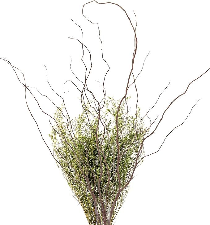 Green Floral Crafts Curly Willow Branches (Bunch of 8 Stems), 3-4Ft Tall, 3-Tone Brown & Caspia | Amazon (US)