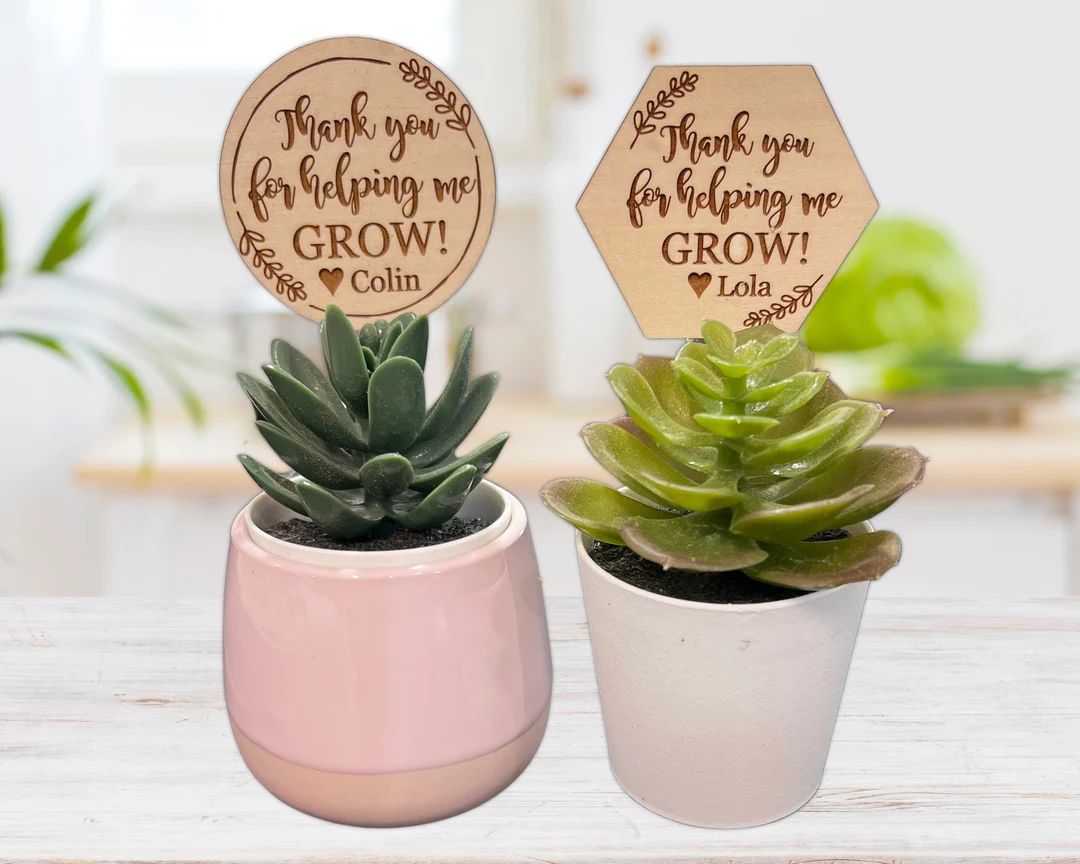 Thank You for Helping Me Grow Succulent Stakes Teacher Gift Plant Marker Succulents Not Included ... | Etsy (US)