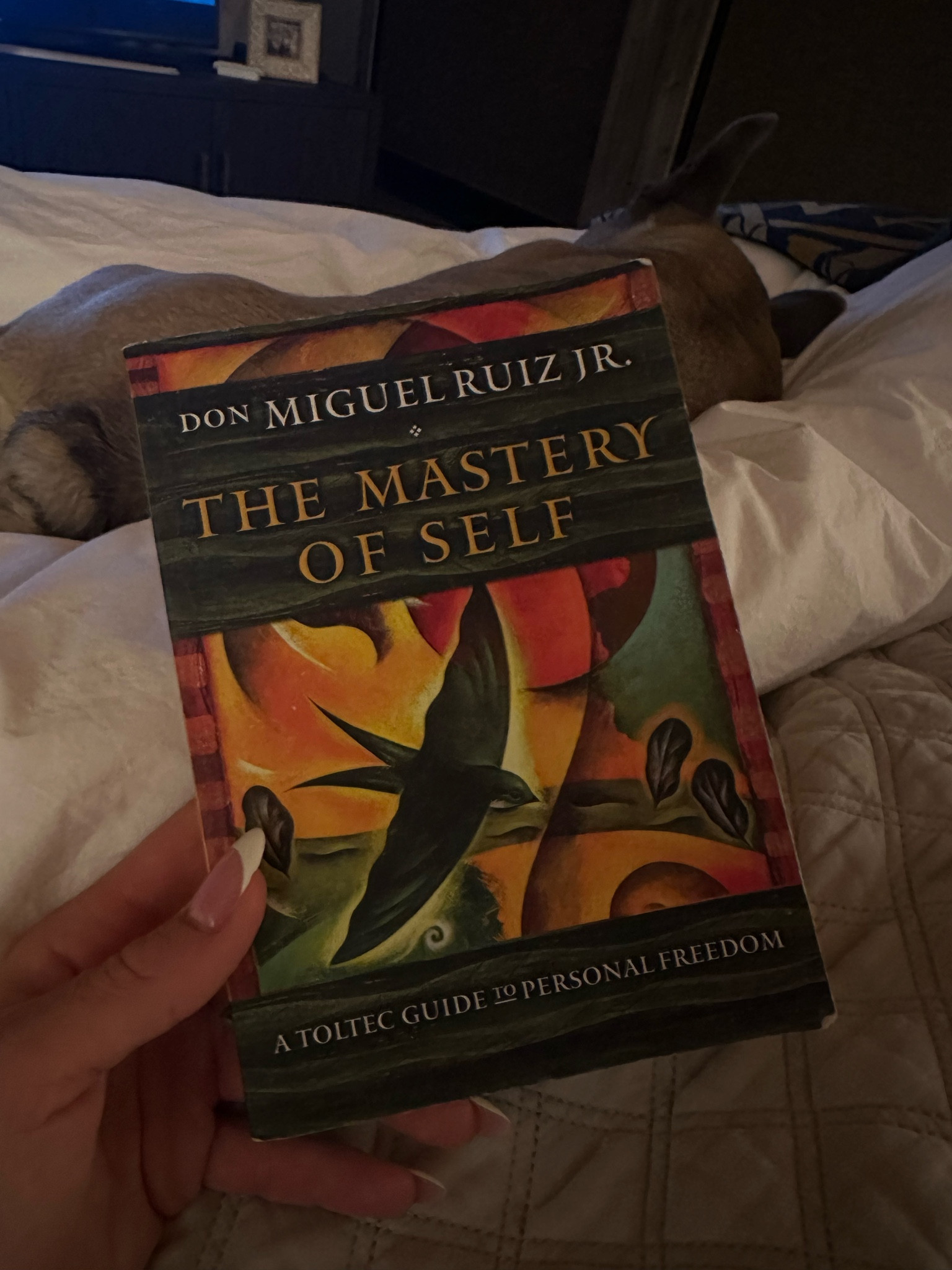 Octobers book 📚 #read #selfhelpbooks #mindsetbooks

#LTKTravel