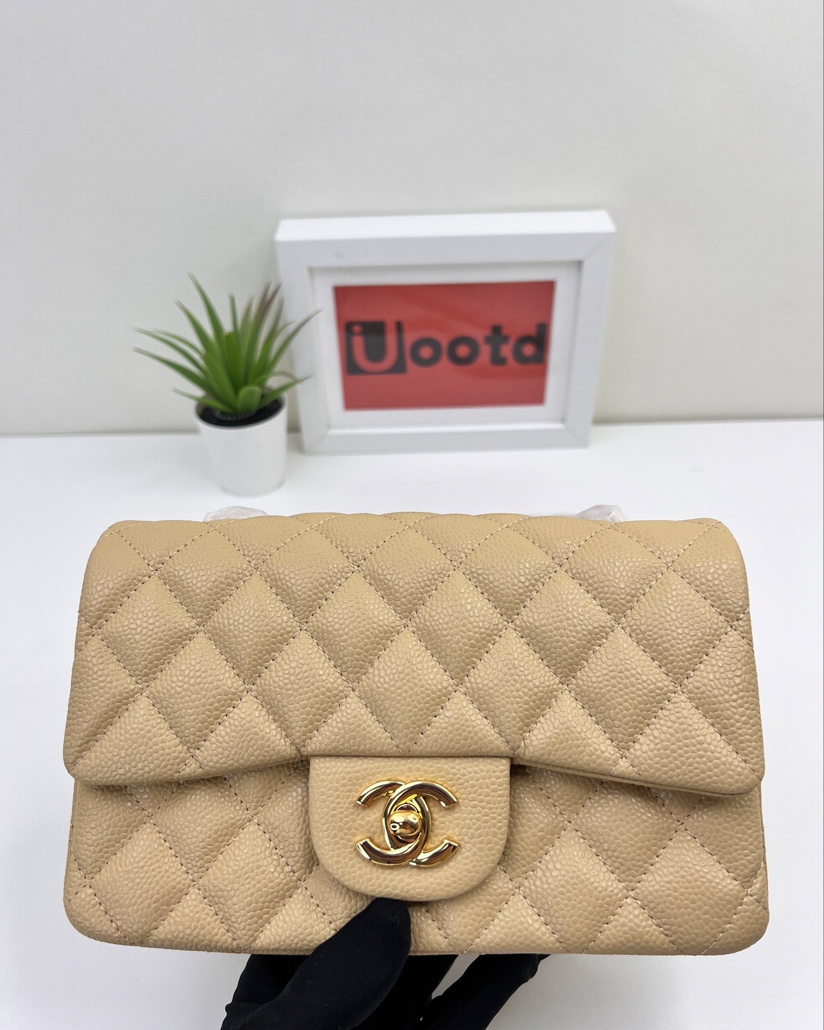 Channel lambskin Shoulder Bag crossbody bag

#LTKitbag #LTKGiftGuide #LTKworkwear