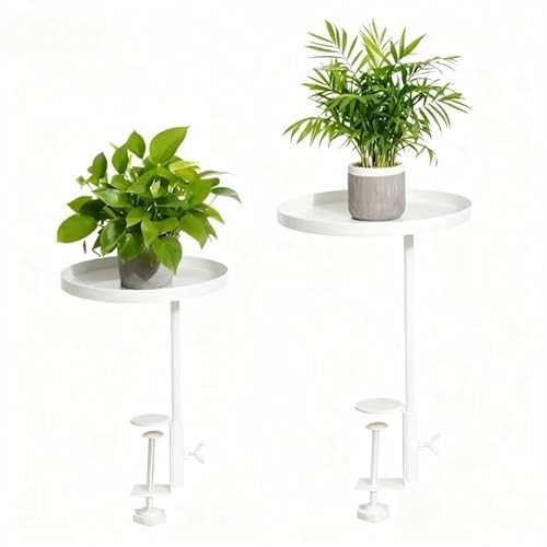 BEIBEINOYA 2Pack 8.3inch Adjustable Window Plant Shelves - Metal Clamp-on Windowsill Extension Tray, Floating Planter Stand for Indoor Plants Home Decor (white) | Amazon (US)