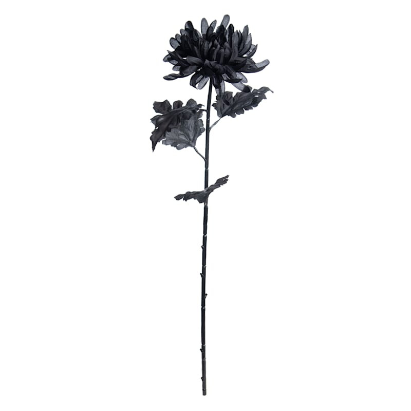 Spellbound Black Mum Floral Stem, 27" | At Home