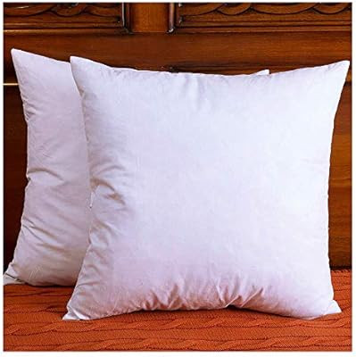DOWNIGHT Set of 2, Cotton Fabric Throw Pillow Inserts, Down and Feather Decorative Pillow Insert,... | Amazon (US)