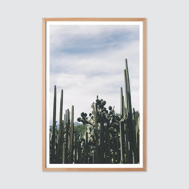 Oaxaca .03 By Andrew Shepherd | The Citizenry