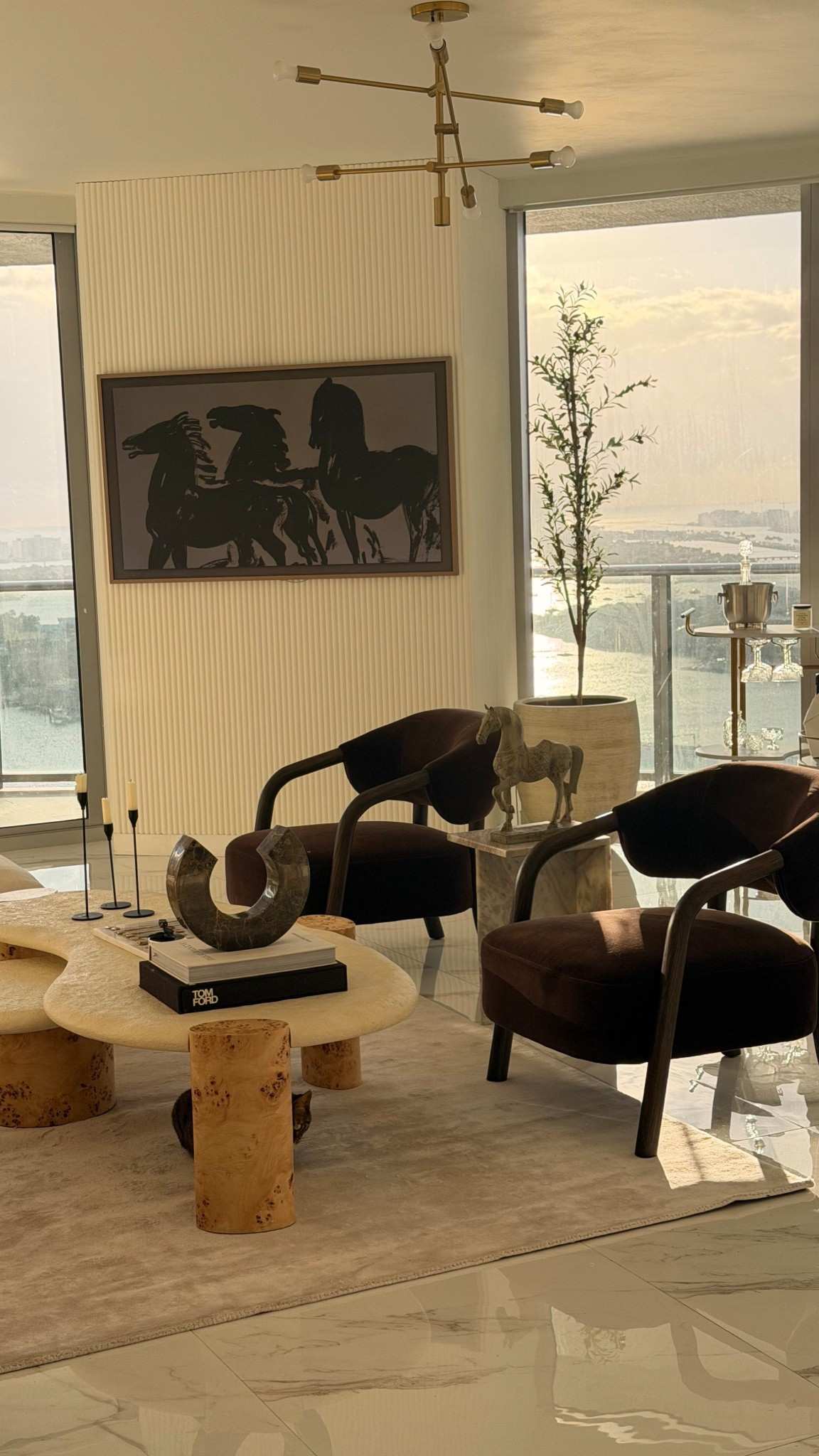 Home updates. Upgraded home without fully changing the furniture. Added luxury dark brown pieces and accents and I love how it has come out 

 

#LTKHome #LTKSaleAlert