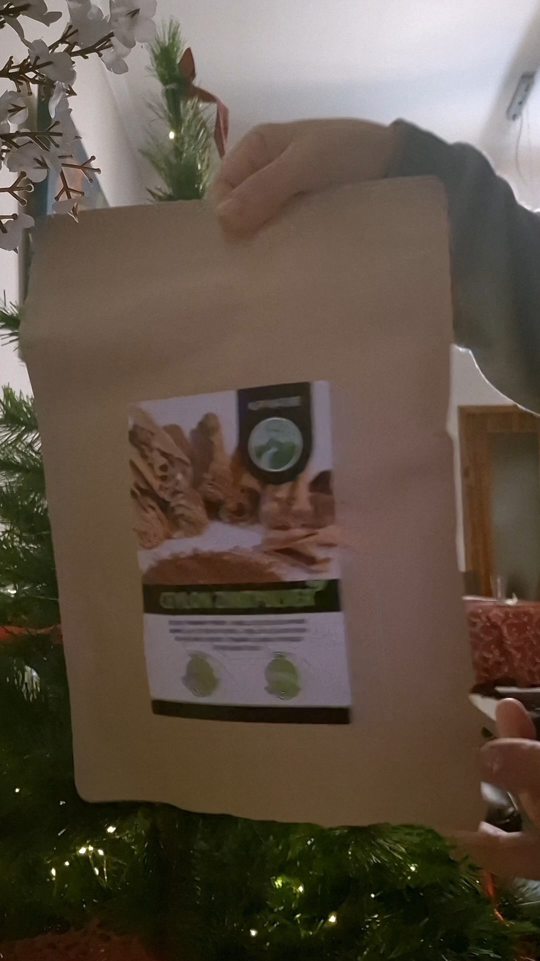 Christmas vlog. And I got the best cinnamon in my advent calendar.

#LTKGiftGuide #LTKFindsUnder50 #LTKHome