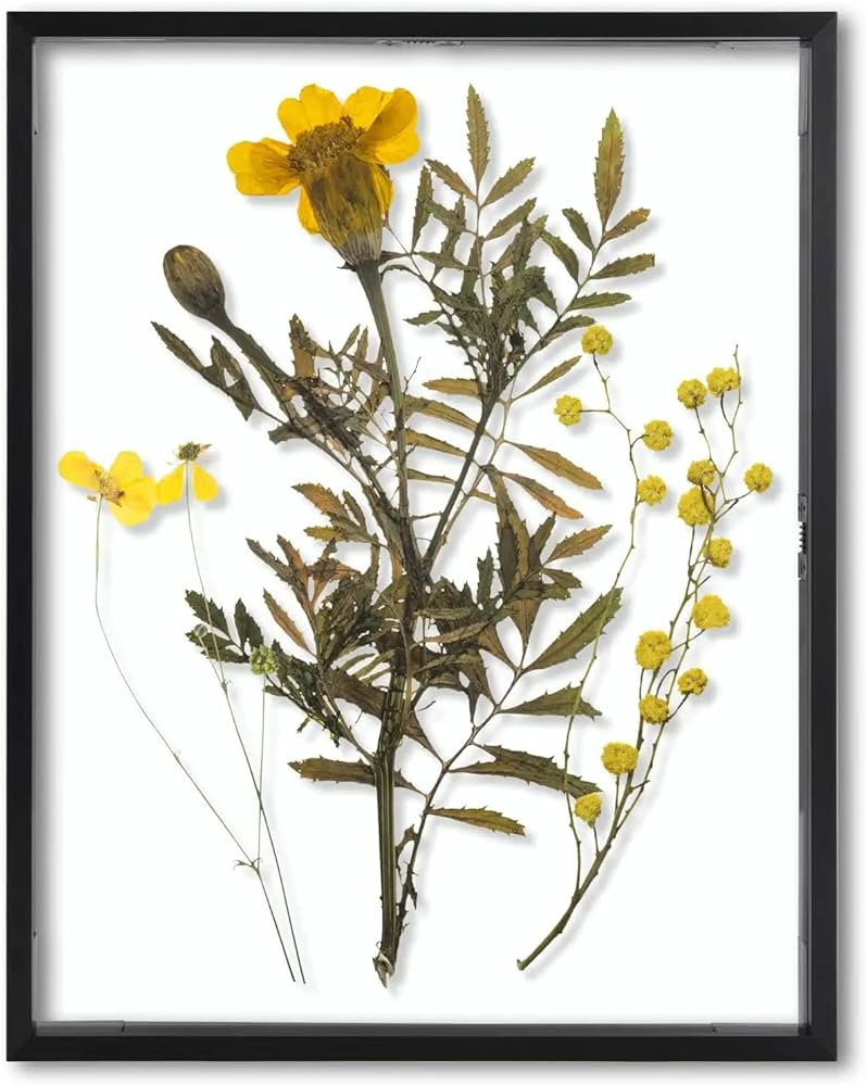 Frametory, Floating Picture Frame 11x14 - Black Metal Photo Frame - Real Glass - for Wall Mount o... | Amazon (US)