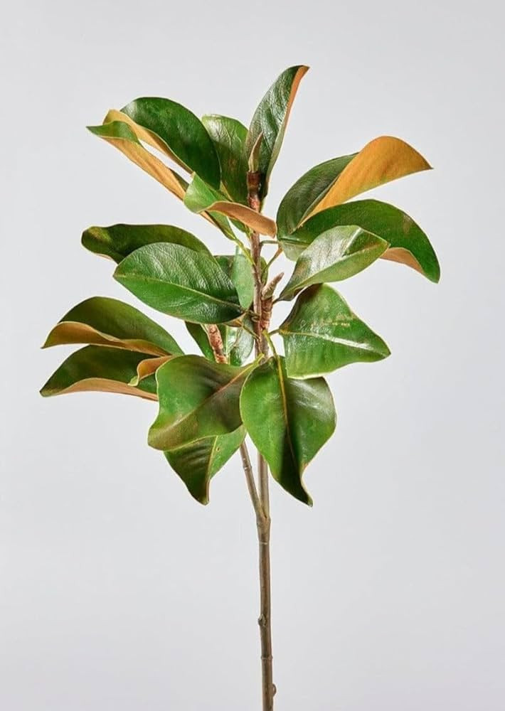 Afloral Faux Magnolia Leaf Branch - 41" | Amazon (US)