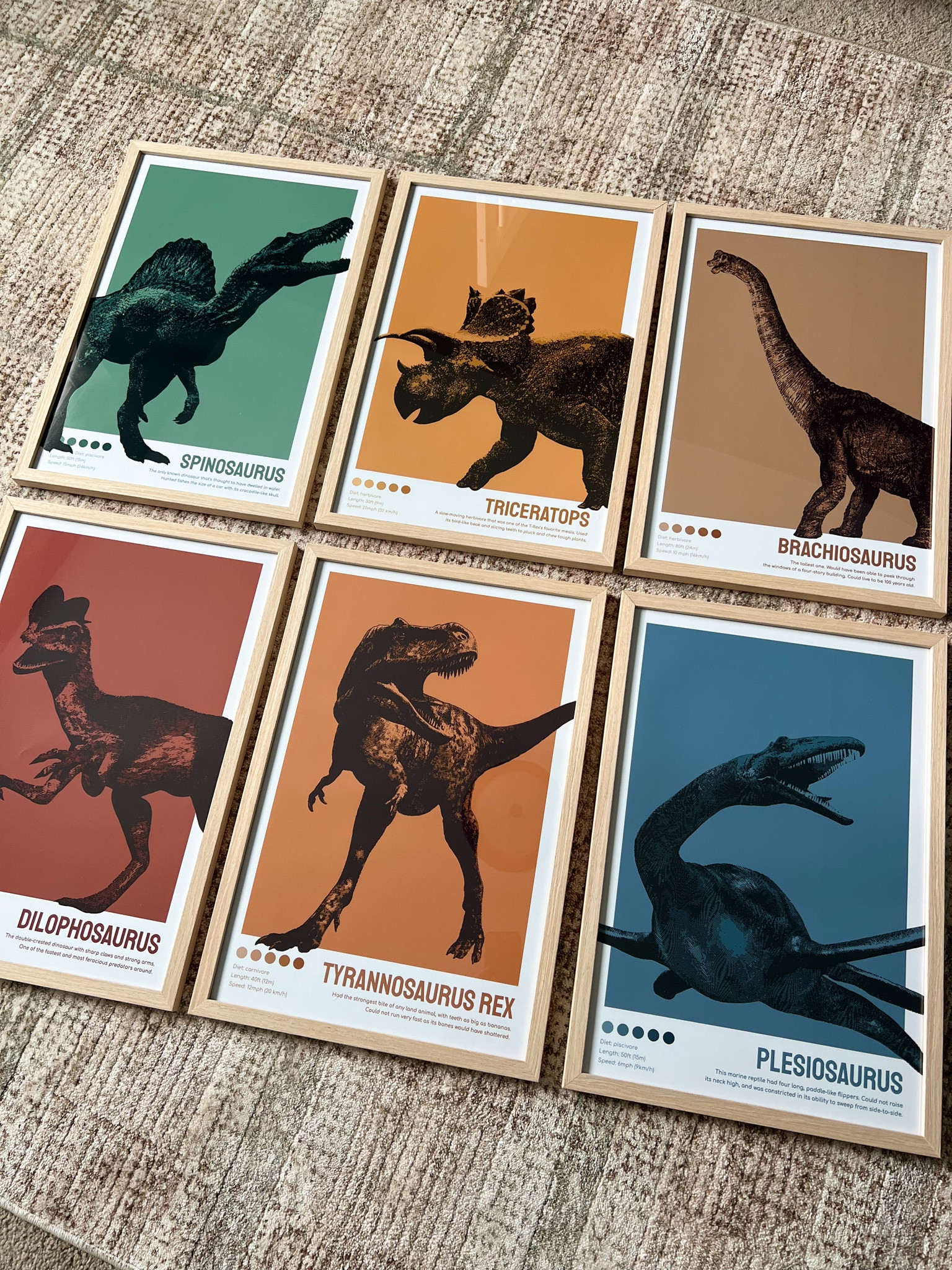 Dinosaur gallery wall for kids room!

#LTKhome #LTKfindsunder100 #LTKfindsunder50