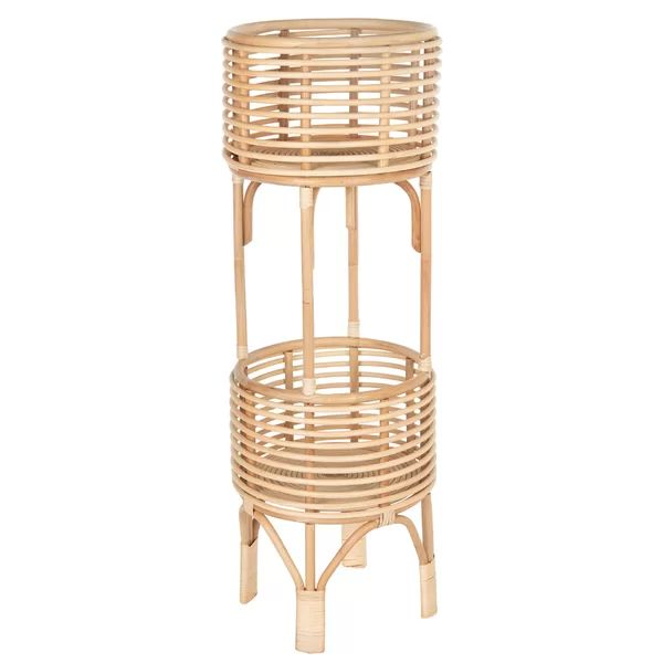 Andres Multi-Tiered Plant Stand | Wayfair North America