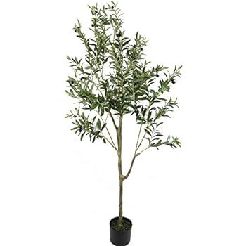 UNIQUE FOREST ARTS 6-Feet Olive Silk Tree,Artificial Silk Plant,Artificial Tree Green (6-Feet Oli... | Amazon (US)