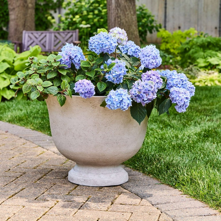 Better Homes & Gardens 20 inch Carmen Urn Planter, Gypsum with Modern Design for Indoor Outdoor P... | Walmart (US)