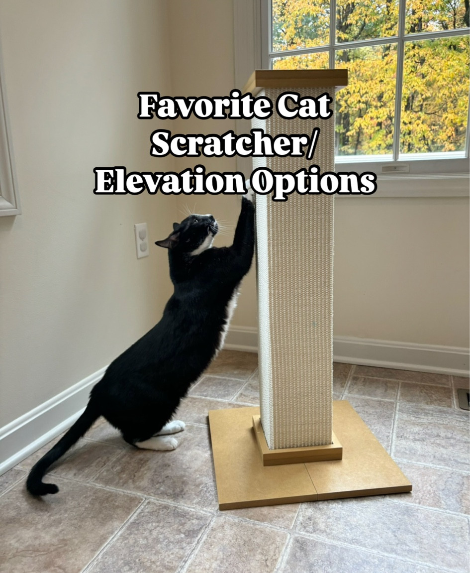 Our list of favorite scratchers/elevation options, tried and loved by our 4 cats! 🐈‍⬛ 🐾 