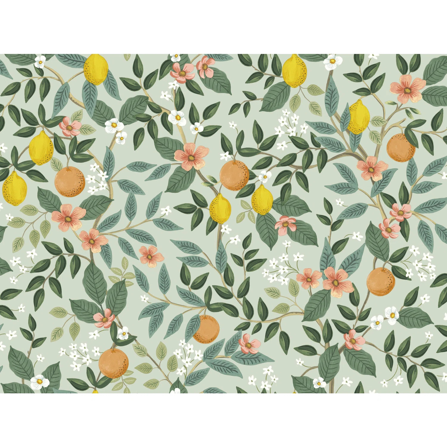 Citrus Grove Peel & Stick Wallpaper | Wayfair North America