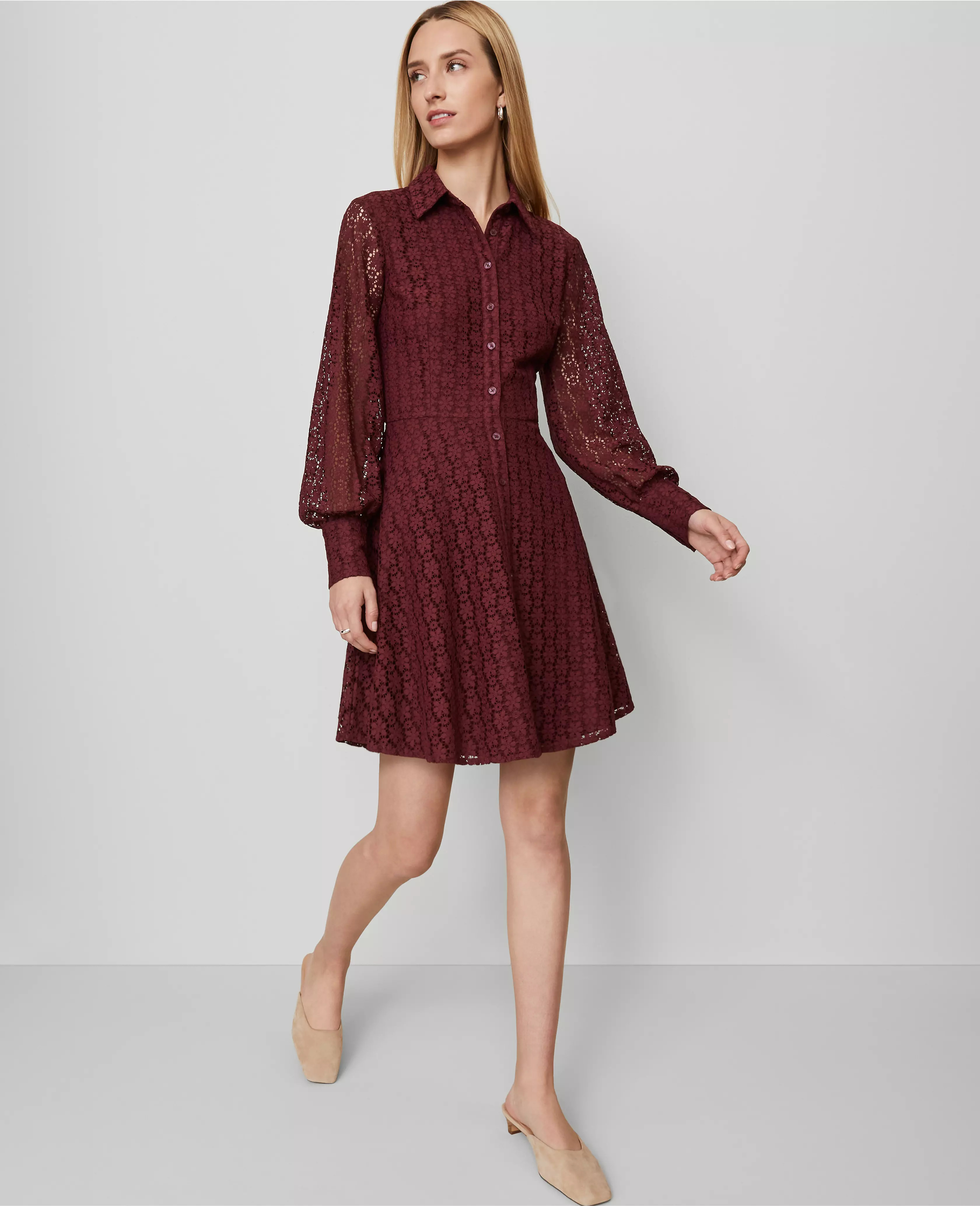 Lace Flare Shirtdress | Ann Taylor