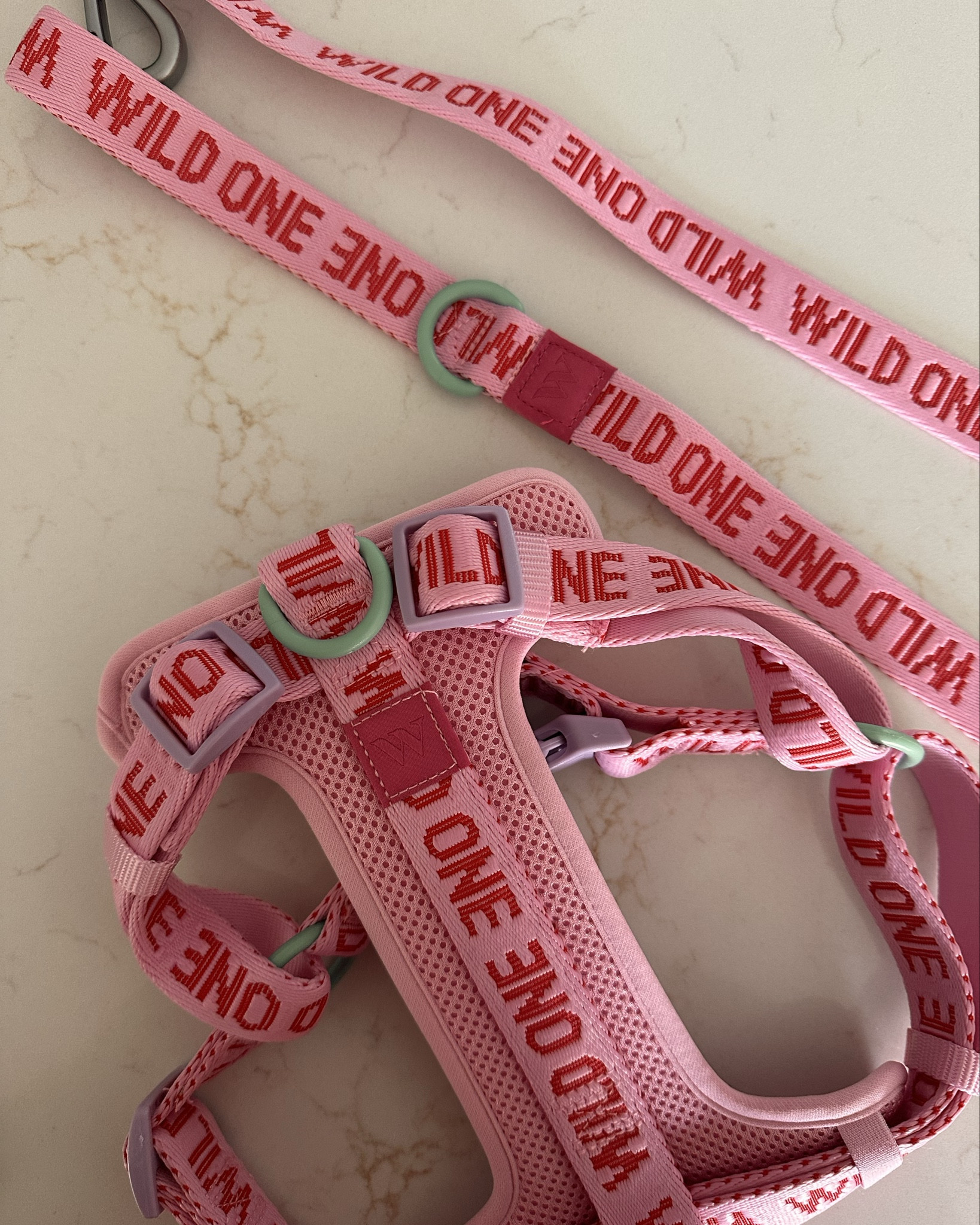 Have you seen this exclusive Walmart Wild One line yet? It’s soooo cute and so far the best harness for preventing Frankie’s pulling while on walks. 10/10

#LTKPets #LTKActive