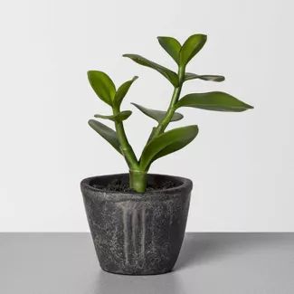 7.5" Faux Jade Potted Plant - Hearth & Hand™ with Magnolia | Target