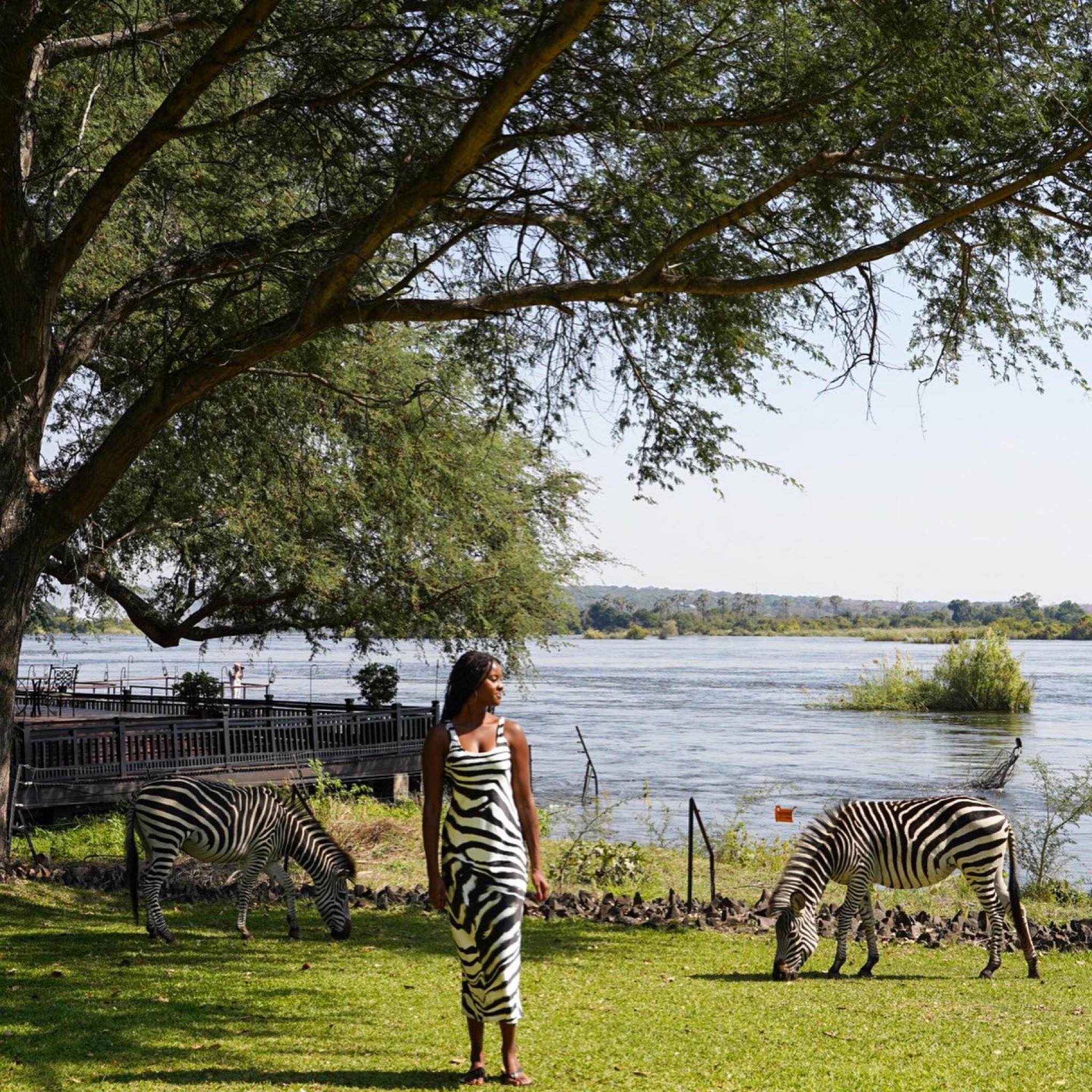 Zebra print 

#LTKtravel