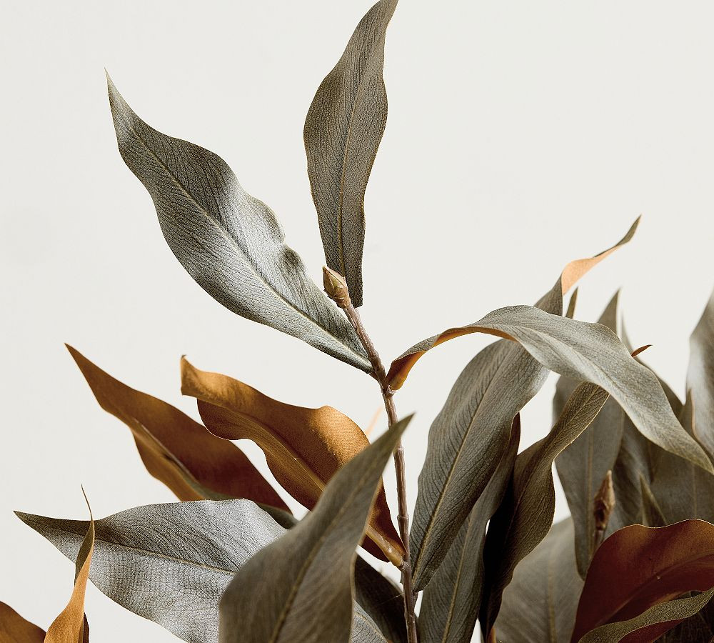 Faux Faded Eucalyptus Branch | Pottery Barn (US)