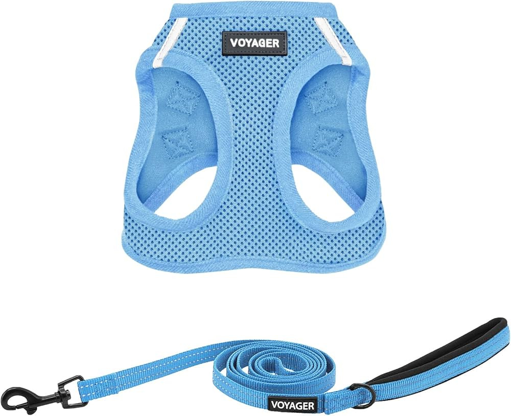 Voyager Step-in Air All Weather Mesh Harness and Reflective Dog 5 ft Leash Combo with Neoprene Ha... | Amazon (US)