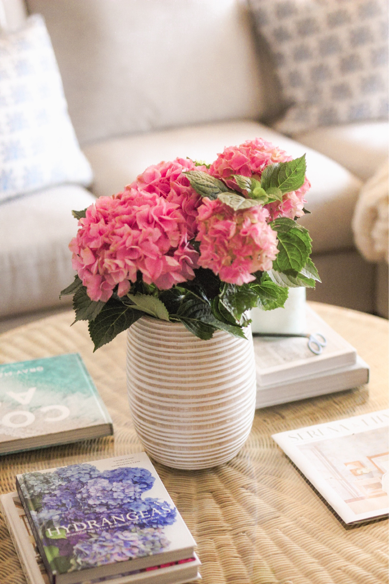 Coffee table top decor 

#LTKFindsUnder100 #LTKSaleAlert #LTKHome