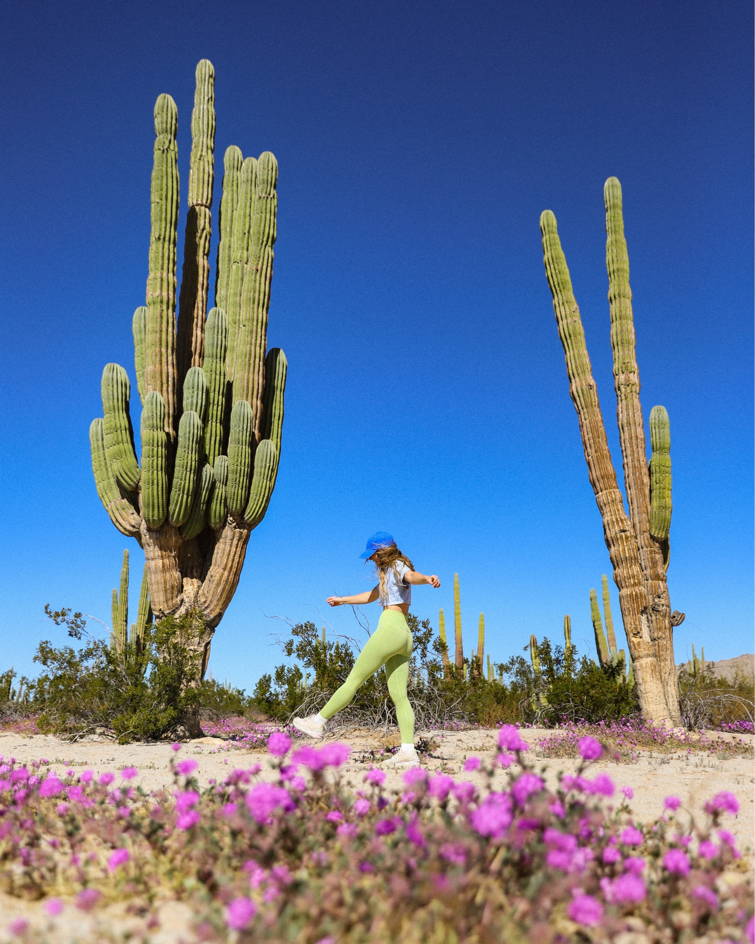 Free People Good Karma Leggings🌵