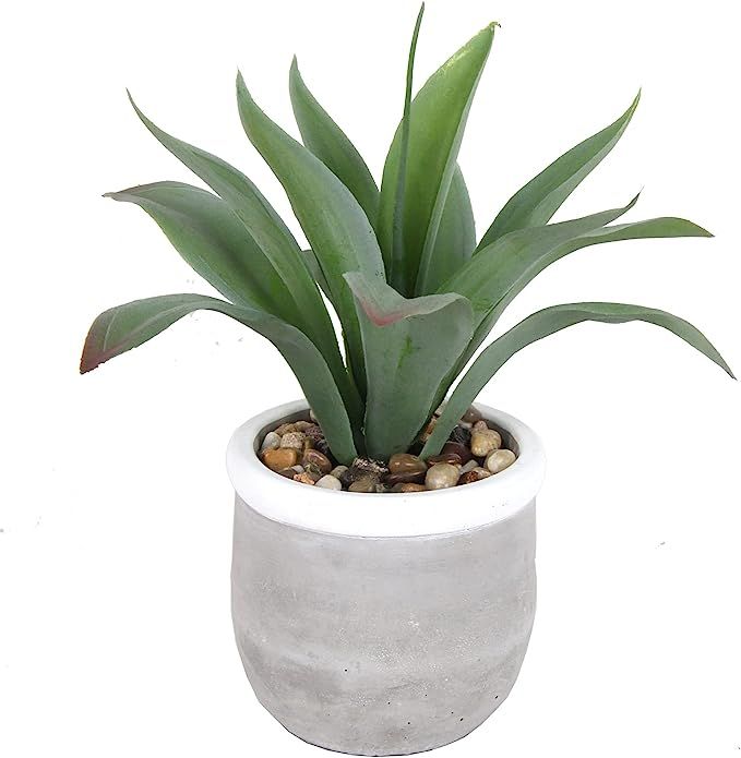 F&D Home Artificial Potted Plants in Cement Pot,Greenery Potted Plant for Home and Office Decor,D... | Amazon (US)